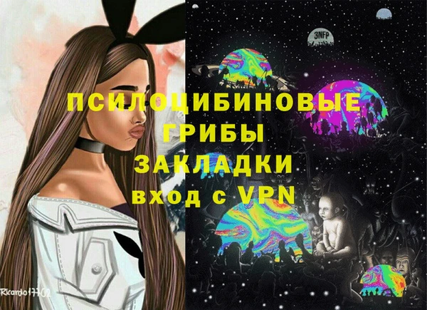 бошки Алзамай