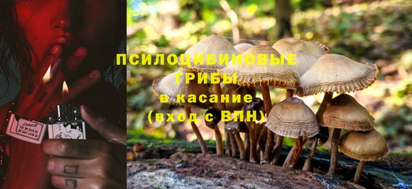 экстази Алексин