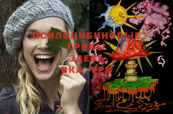экстази Алексин