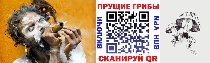 Псилоцибиновые грибы Cubensis  Себеж 